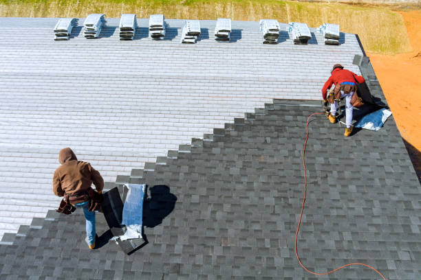 Best Storm Damage Roof Repair  in Randolph, NE
