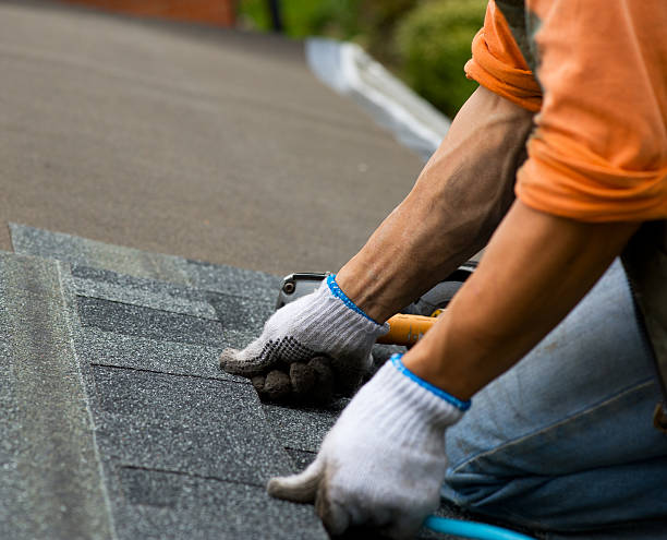 Best New Roof Installation  in Randolph, NE