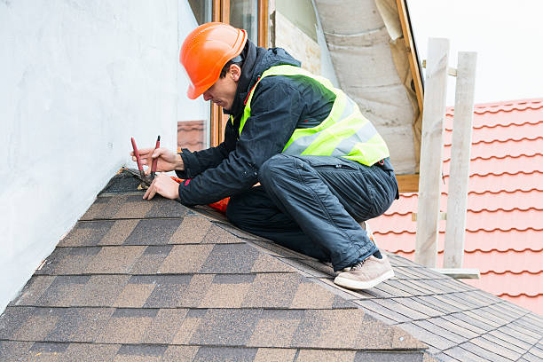 Best Roof Leak Repair  in Randolph, NE