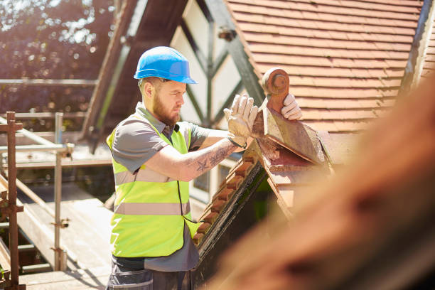 Best Emergency Roof Repair  in Randolph, NE
